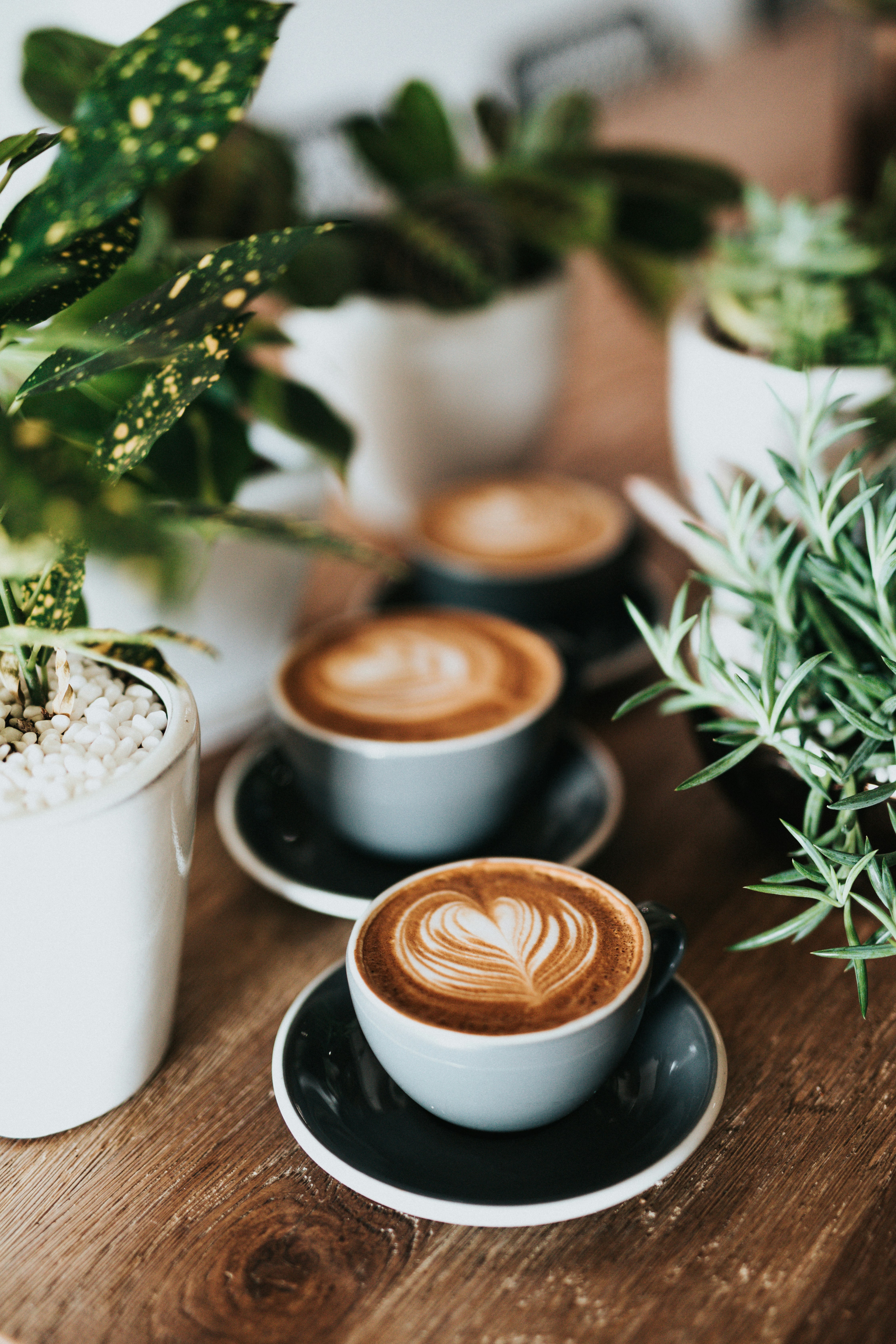 tres tazas de café