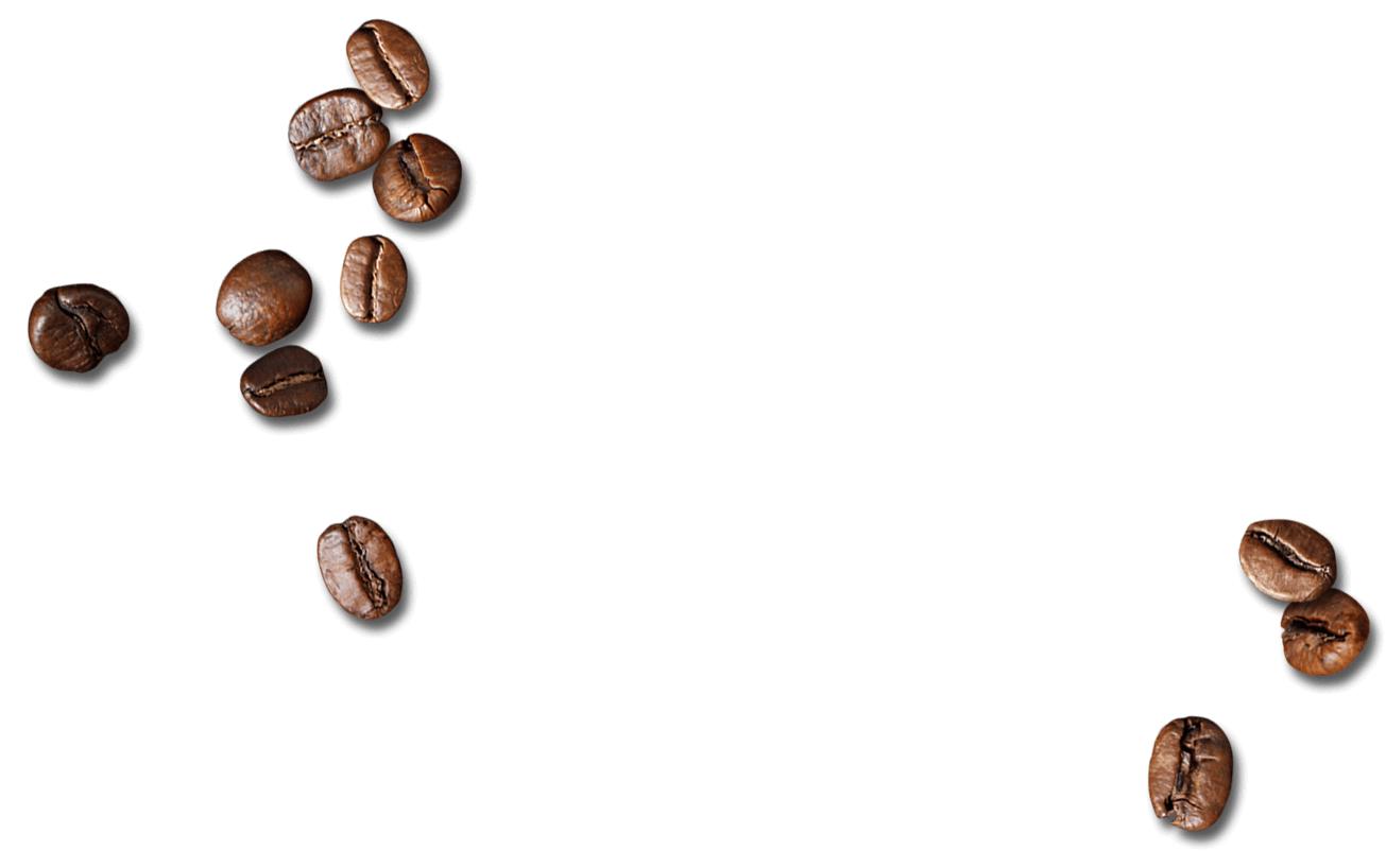grano de cafe dispersos